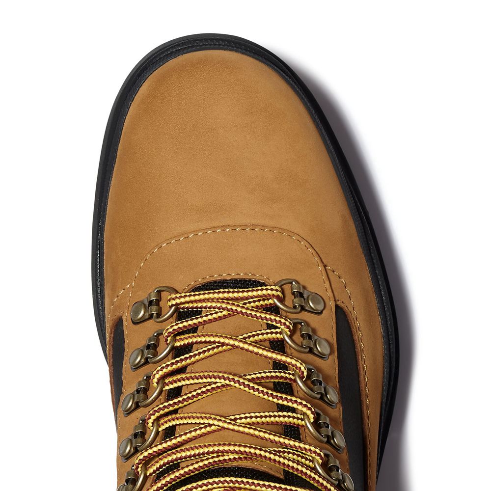 Bocanci De Zapada Timberland Barbati Maro/Negrii - Field Trekker Waterproof - Romania - APCXLF807